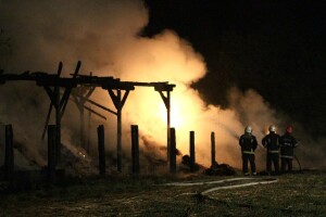 Užas u susjedstvu: U požaru na farmi stradalo oko 300 svinja