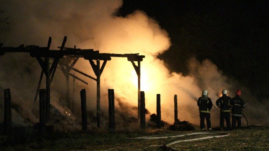 Užas u susjedstvu: U požaru na farmi stradalo oko 300 svinja