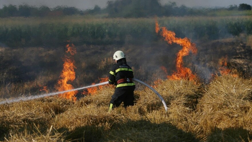 Vatra progutala gotovo 30 hektara pšenice, uzrok zapaljenje kombajna i suhog raslinja