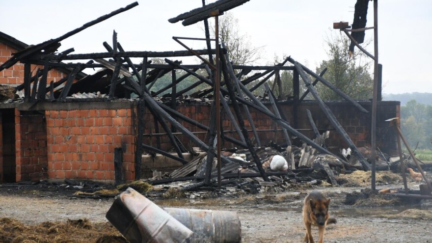Grom ubio stado ovaca, gorio traktor, sušara za žitarice i stoka