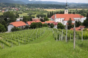 Klima se promijenila, moraju i agrotehnološke mjere - poljoprivrednici to trebaju osvijestiti