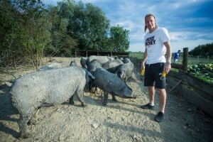 Eko farma crnih slavonskih svinja Domagoja Vide u utrci za najbolji arhitektonski projekt