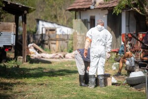 Kako smo od pojave u tri naselja dvaju općina došli do afričke svinjske kuge u tri županije?