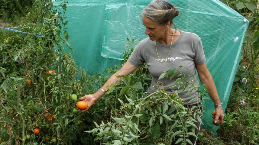 Radionica o plodnosti tla kod Trudi Boršoš