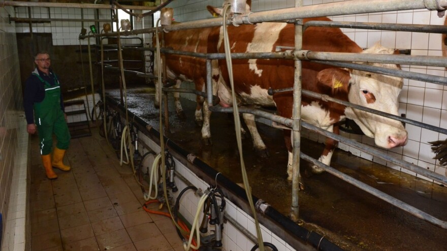 Obitelj Pranjić otvorila siranu jer u Hrvatskoj više košta litra vode nego mlijeka