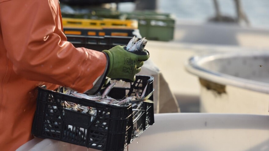 Ribari zbog pandemije zatražili nastavak mjera pomoći sektoru