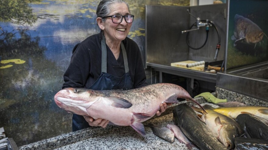 Nada Francuzević posljednja je šarengradska ribarica: Lijep je to posao, ali je rad, rad i - rad