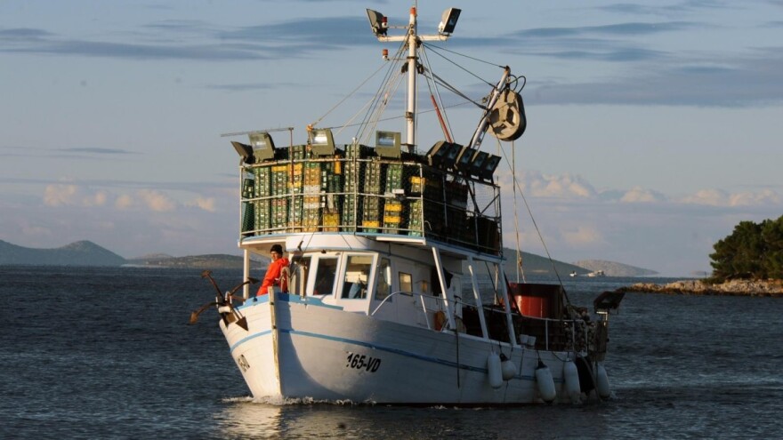 Ribari kreću u lov na sitnu plavu ribu, ulovimo svaku drugu srdelu u EU