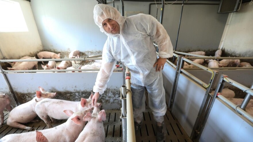 Od obiteljskog držanja svinja do najmodernije farme s 8.500 tovljenika i prasadi godišnje