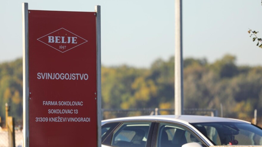 Belje: Na farmi Sokolovac je 9.829 tovljenika koji će biti eutanazirani