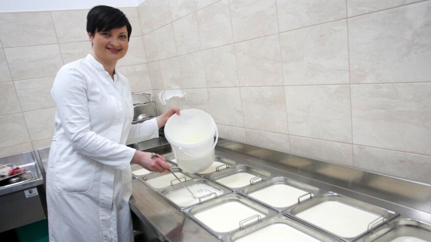 Dnevno proizvedu 300 litara mlijeka, prerade u sir i sve - prodaju