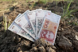 Za financijske instrumente za poljoprivredu i ruralni razvoj više od 384 milijuna kuna