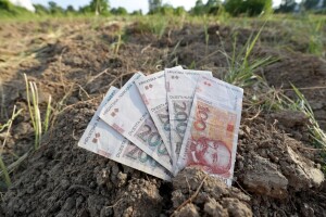 Je li isplaćeno manje potpora? Evo što kažu iz Ministarstva poljoprivrede