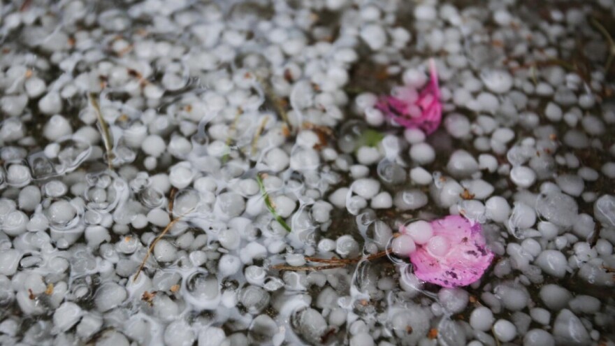 Olujno nevrijeme s tučom protutnjalo zemljom, ima ozlijeđenih, štete na usjevima milijunske
