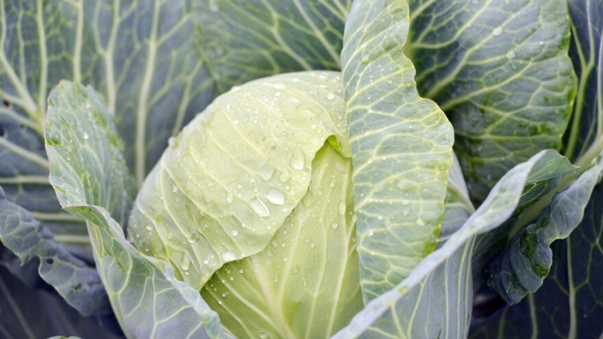 Produžen je rok za podnošenje zahtjeva za potporu za tip operacije 3.2.1