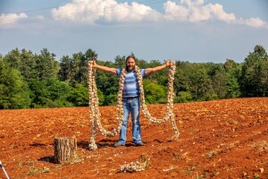 Sjajan posao Deana Pamića Nefata: ispleo vijenac češnjaka dug 8 metara i težak 50 kg!