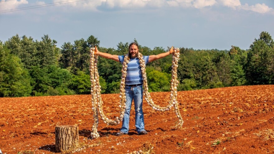 Sjajan posao Deana Pamića Nefata: ispleo vijenac češnjaka dug 8 metara i težak 50 kg!