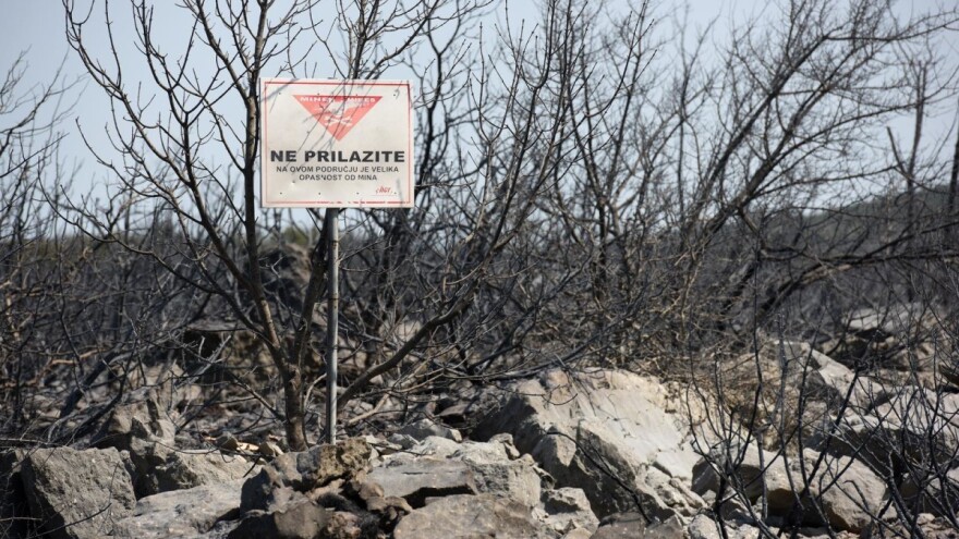 Osuđen poljoprivrednik - angažovao pastire da mu čuvaju ovce u minskom polju