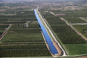Proizvođači mandarina traže otpis potraživanja za zakup poljoprivrednog zemljišta