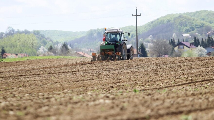 Tko ima pravo na izravne potpore i kako do njih?