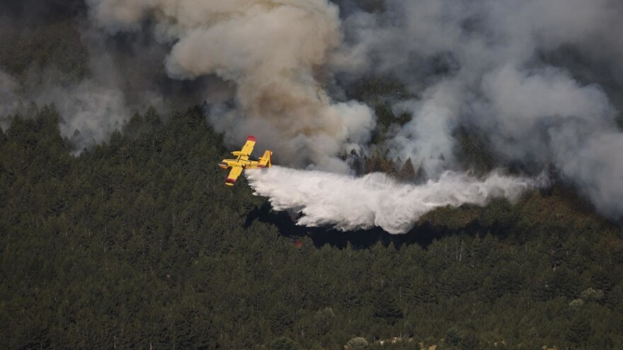 Zatražena međunarodna pomoć: Vatra guta borovu šumu na Blidinju