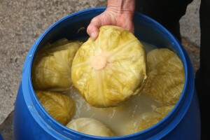 Sarma je upitna: Nakon mesa poskupio i kupus!