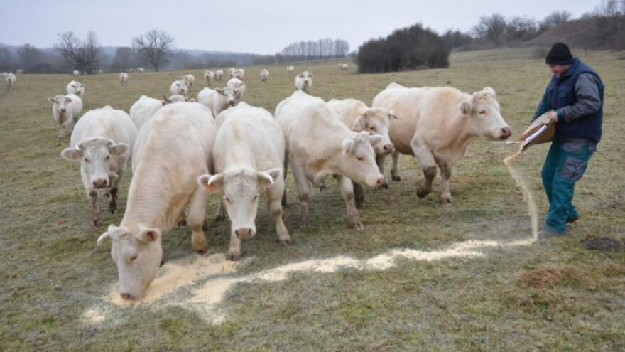Kraj izvlačenju potpora za pašnjake, idemo dalje