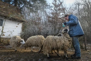 Što se dogodi kad se u Hrvatskoj izgubiš u prijevodu?