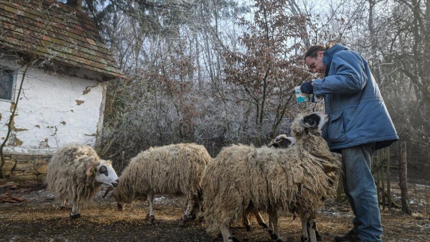 Što se dogodi kad se u Hrvatskoj izgubiš u prijevodu?