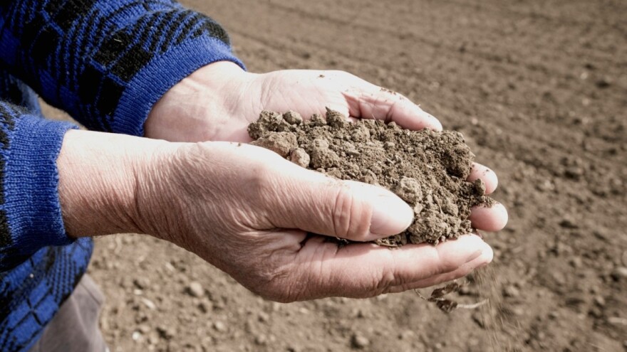 Čekaju nas zbog suše veliki gubici na ječmu, stradat će i druge kulture