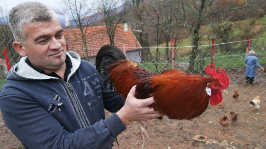 Oprezno s jajima ovog Uskrsa