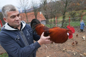 Oprezno s jajima ovog Uskrsa/Vaskrsa
