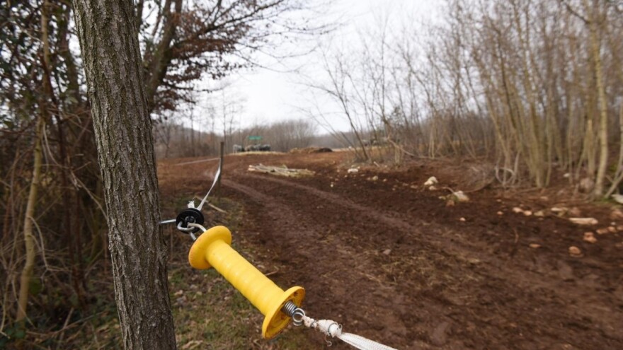 Pokrali električne pastire i akumulatore: stoka bez zaštite, a stočar bez odštete