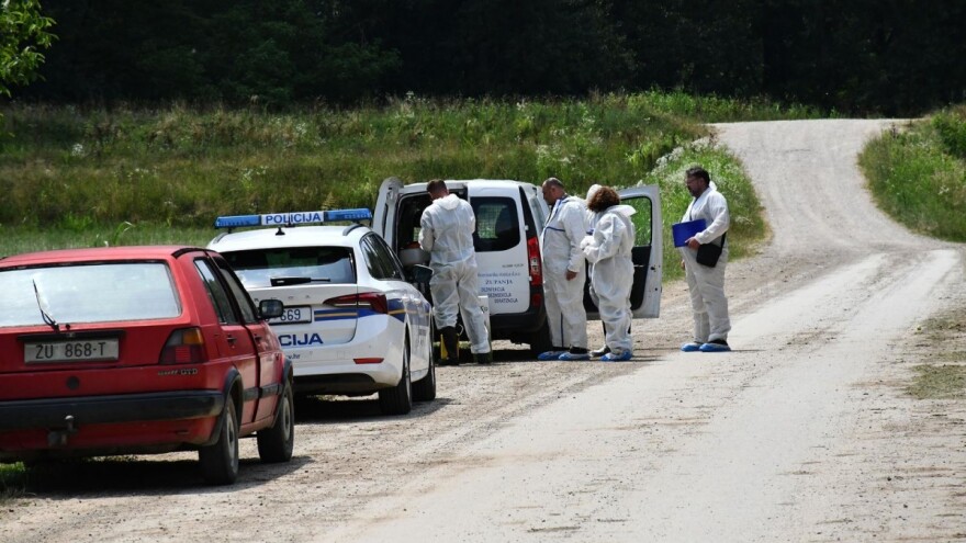 Kako se susjedi bore s ASK: Na nekim gazdinstvima preventivno će usmrtiti sva grla