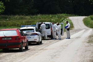 Pooštrene mjere suzbijanja ASK u Hrvatskoj - naređena preventivna usmrćivanja svinja