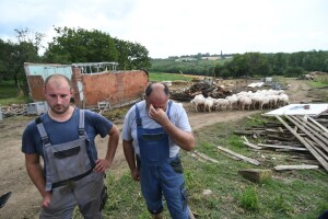 Tuga na OPG-u: Pijavica u par minuta usmrtila ovce i uništila farmu obitelji Merc