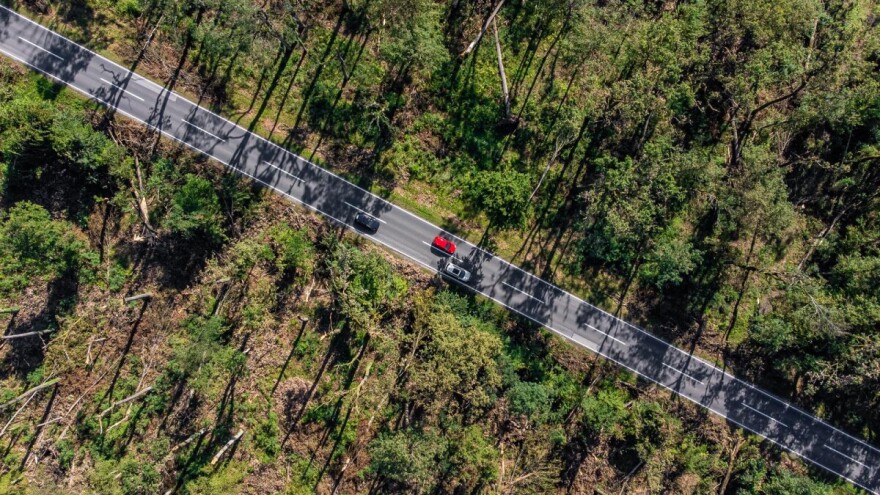 Igor Fazekaš: Cilj je povećati klimatsku otpornost šuma u Spačvansko-bosutskom bazenu