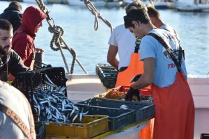 DZS: Vrijednost ribarstva porasla za 16,5 posto