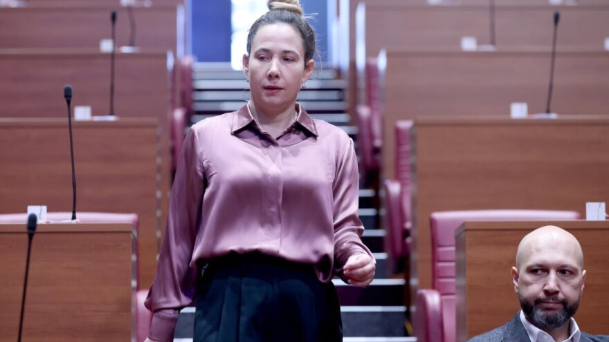 Selak Raspudić: Točno mogu zamisliti scenarij kad je Penava tražio novog ministra