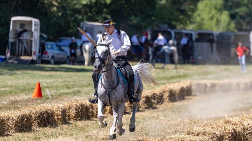 Upišite datum, sve je spremno za 14. Šokačku alku