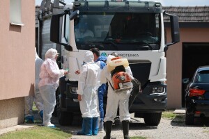 Širi se Osječko-baranjskom županijom: Afrička svinjska kuga potvrđena i u Općini Erdut