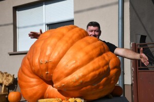 Plan je imati i težu: Željko Ivorek uzgojio tikvu tešku 326 kilograma