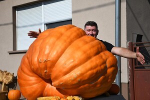 Plan je imati i težu: Željko Ivorek uzgojio tikvu tešku 326 kilograma