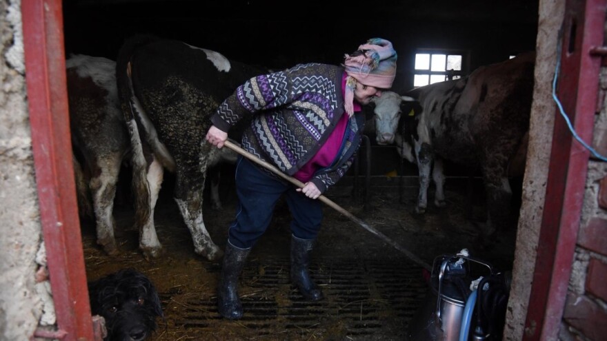 200 sela pogođeno potresom - ljudi ne žele napustiti stoku