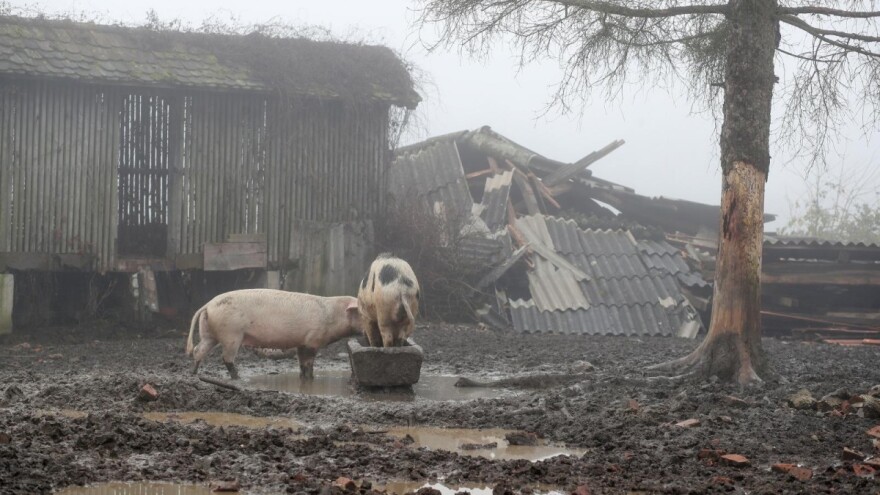 Na stradalo područje stiglo 130 tona stočne hrane, 90 grla je premješteno