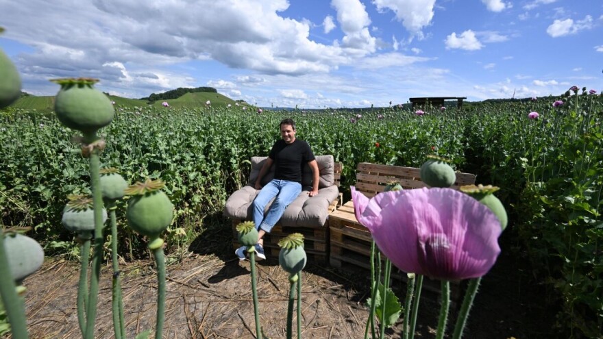 Traži se puno: Radno mjesto 'poljoprivrednik' nikada nije bilo kompleksnije