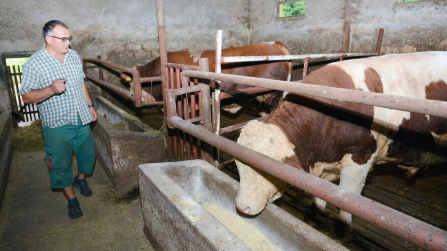 Džakula: Napušteni objekti stoje, zašto ih za jednu kunu ne iznajmiti mladim stručnjacima?