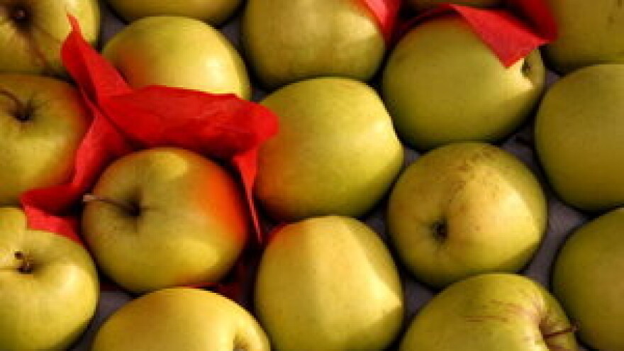 Mjere u zaštiti jabuke i kruške