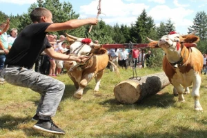 Rabadžiluk kao porodična tradicija