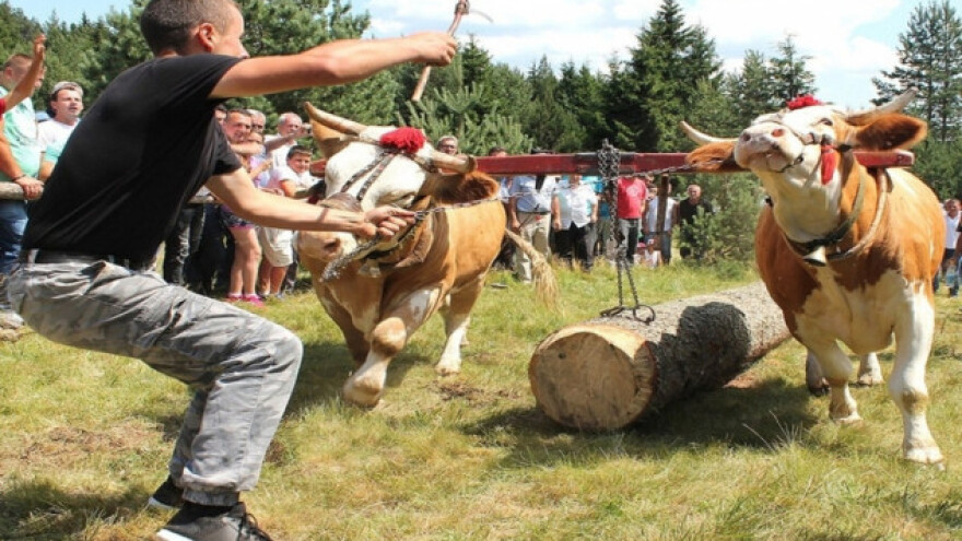 Rabadžiluk kao porodična tradicija
